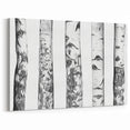 Contemporary Black and White Aspen Tree Design - Aspen Canvas Art