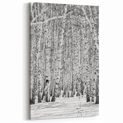Aspen Nature Photography - Snowy Aspen Forest in Black and White
