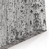 Aspen Nature Photography - Snowy Aspen Forest in Black and White