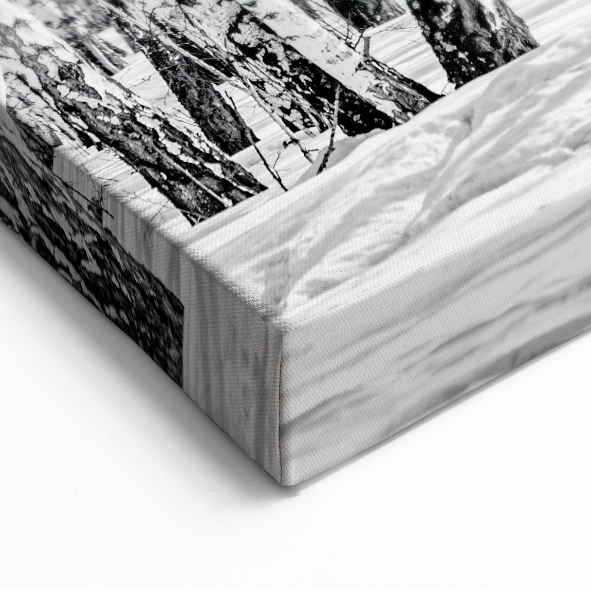 Aspen Nature Photography - Snowy Aspen Forest in Black and White