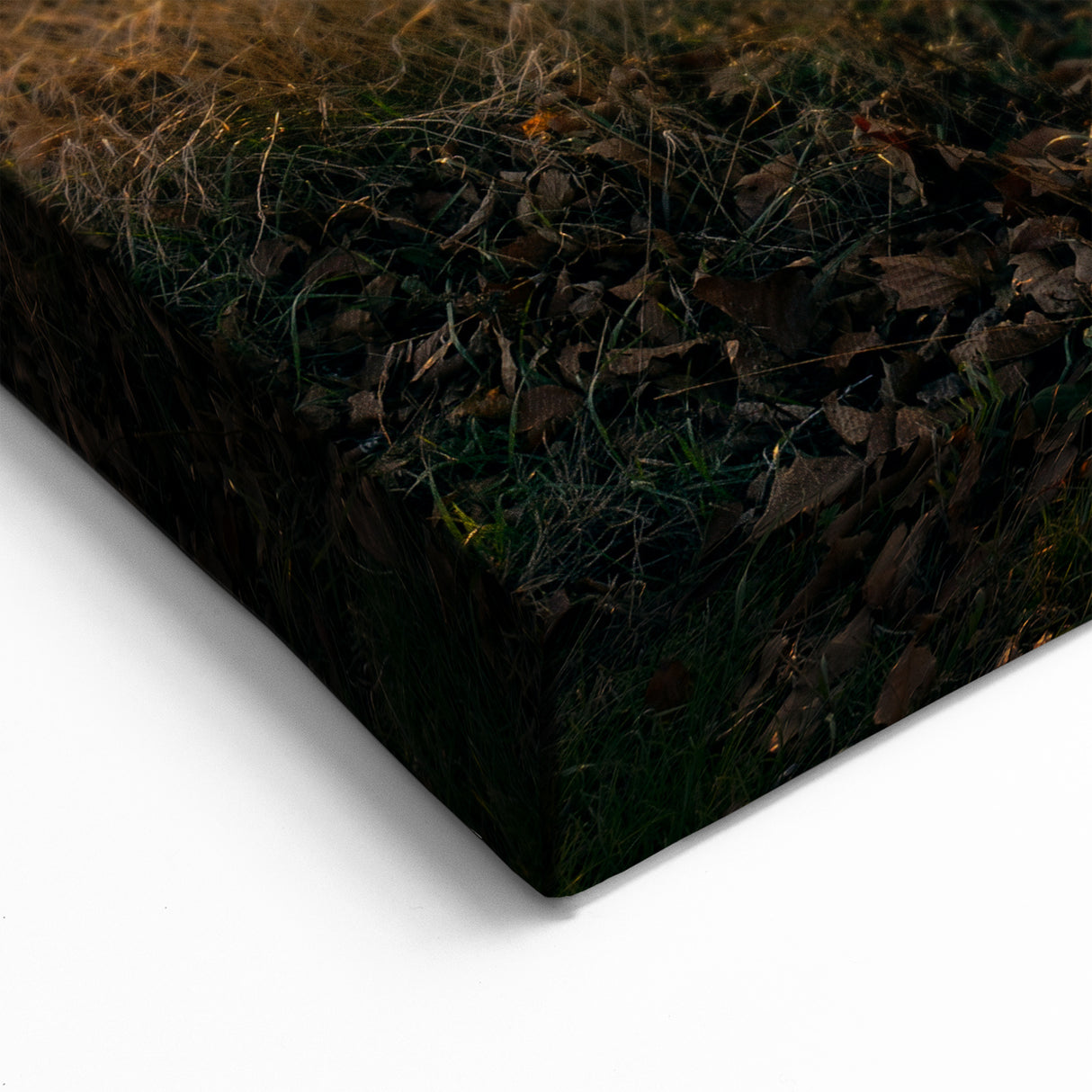 Golden Sunset Over Tranquil Marshlands Photography - Connecticut Art Prints