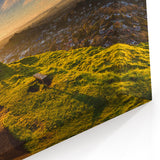Sunrise over Auckland - Landscape Art Canvas