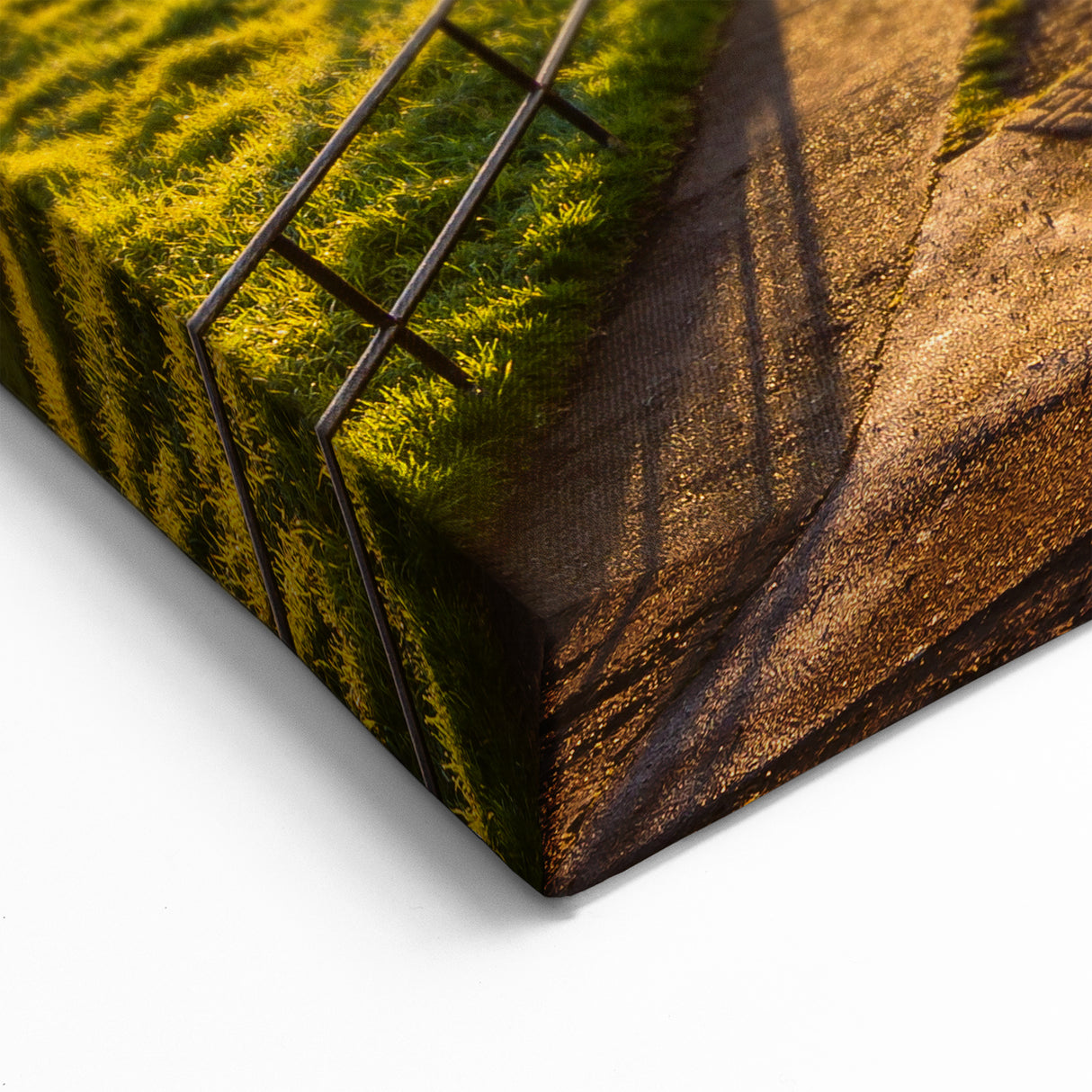 Sunrise over Auckland - Landscape Art Canvas