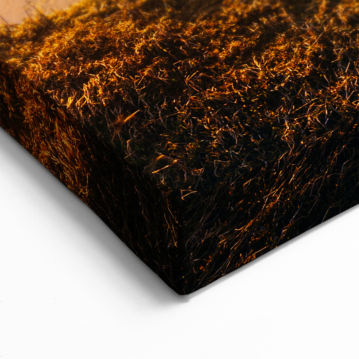 Connecticut Canvas Art - Lighthouse Sunrise Over Marsh Scenic Connecticut Prints