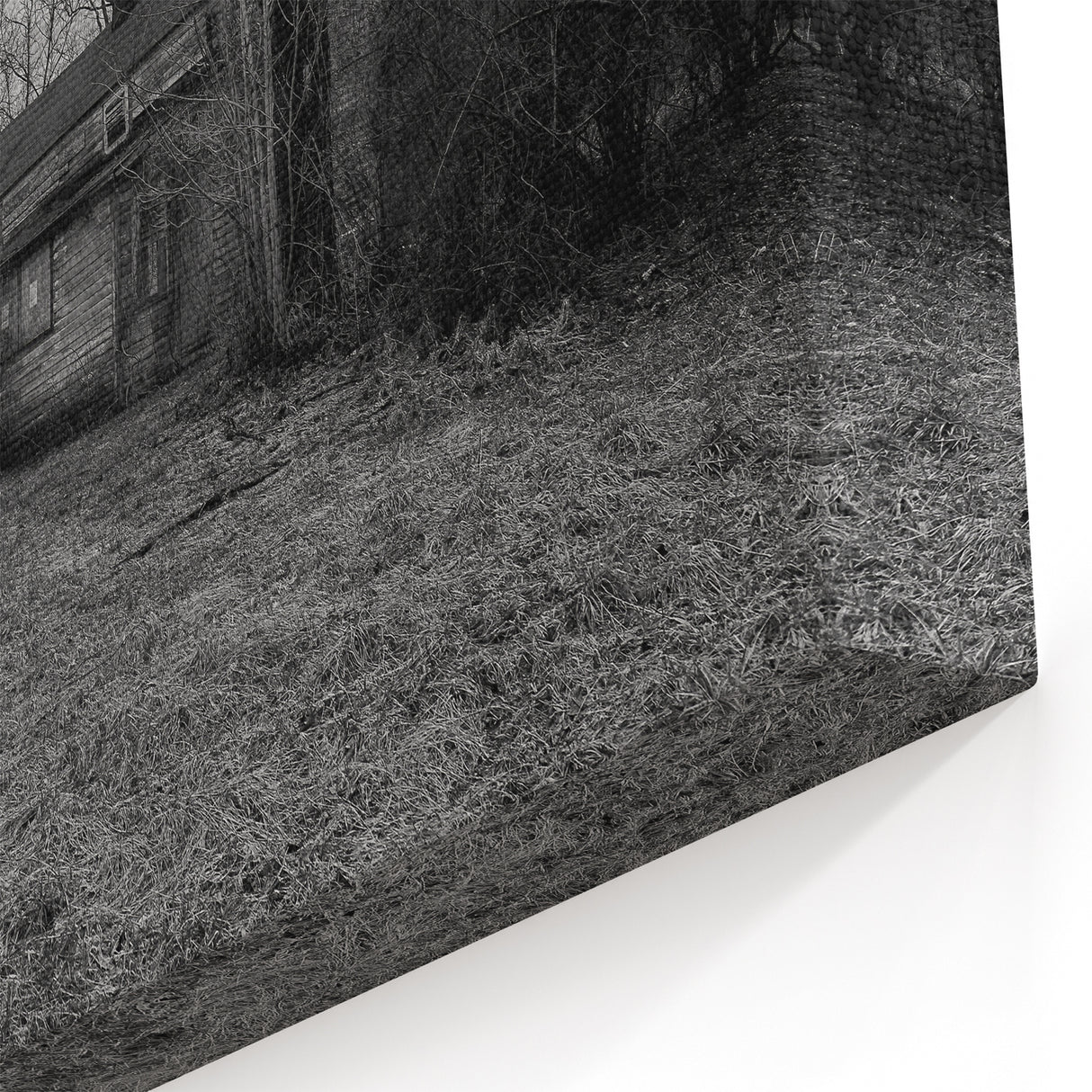 Delaware Landscape Canvas - Abandoned House in Black and White Print