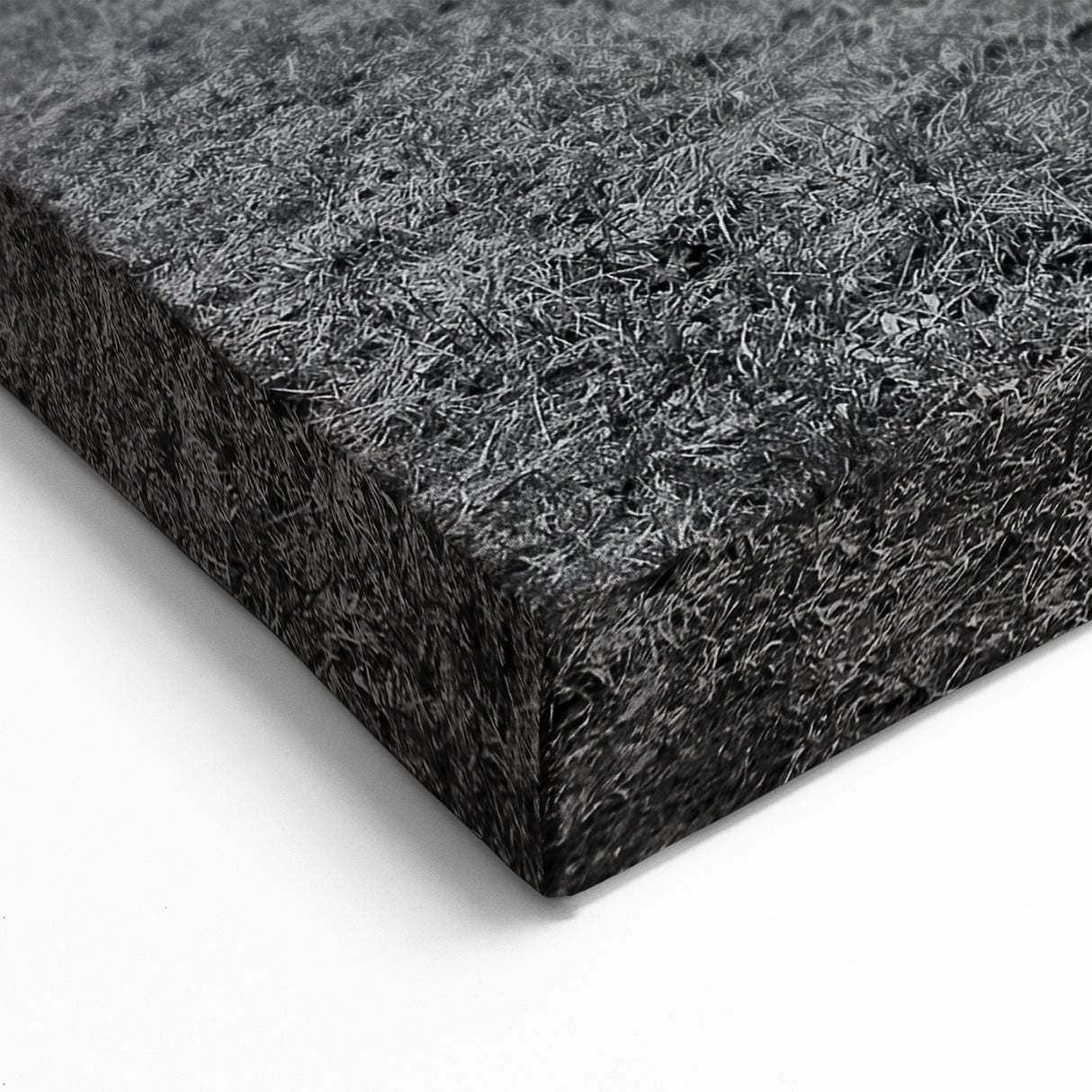 Delaware Landscape Canvas - Abandoned House in Black and White Print