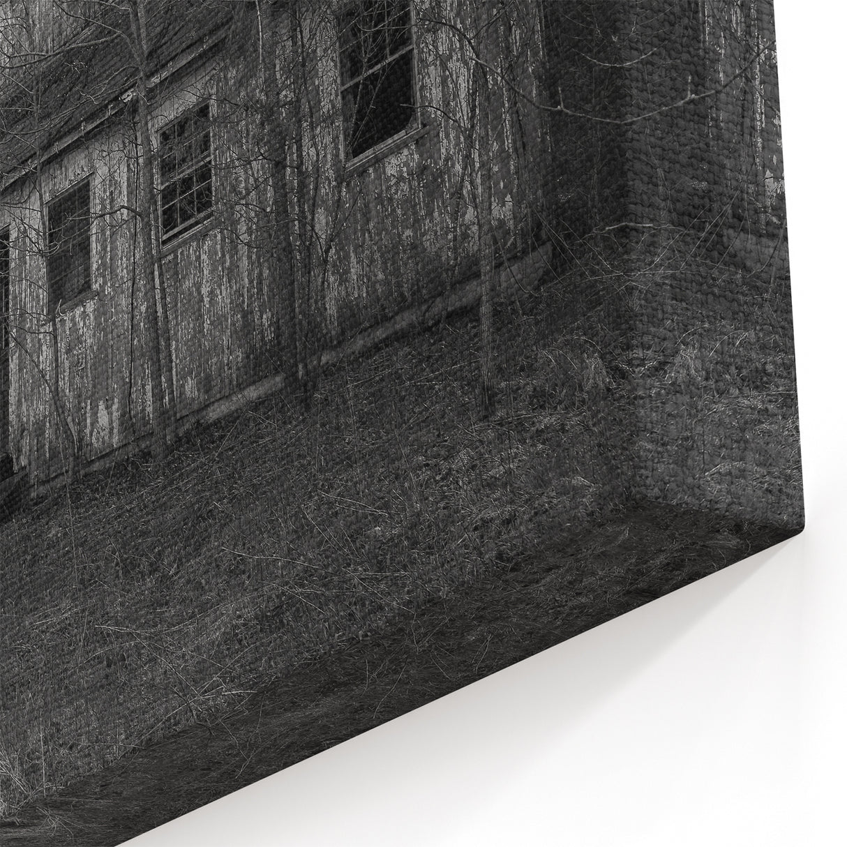 Delaware Nature Photography - Abandoned Farmhouse in Black and White Art