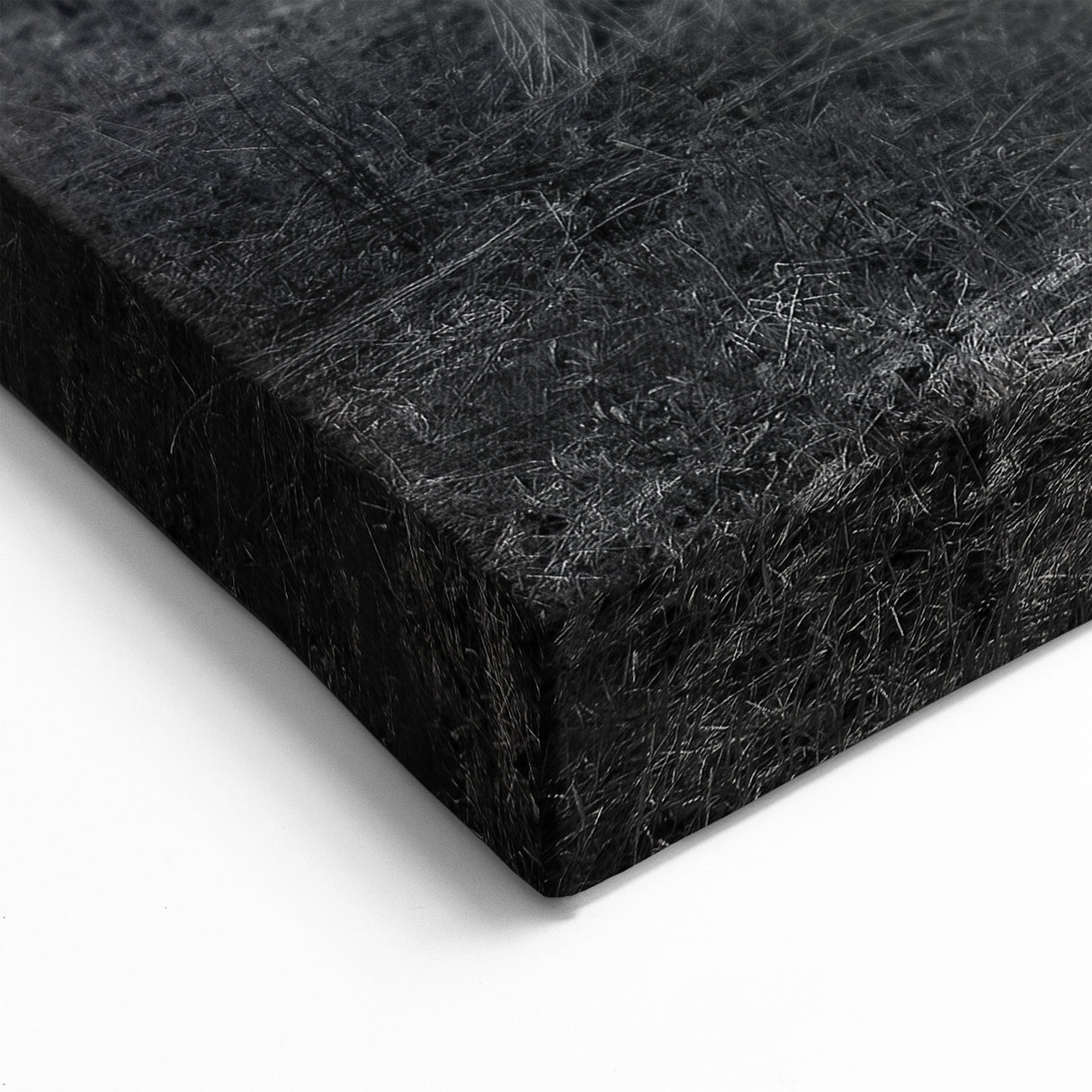 Delaware Nature Photography - Abandoned Farmhouse in Black and White Art