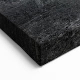 Delaware Nature Photography - Abandoned Farmhouse in Black and White Art