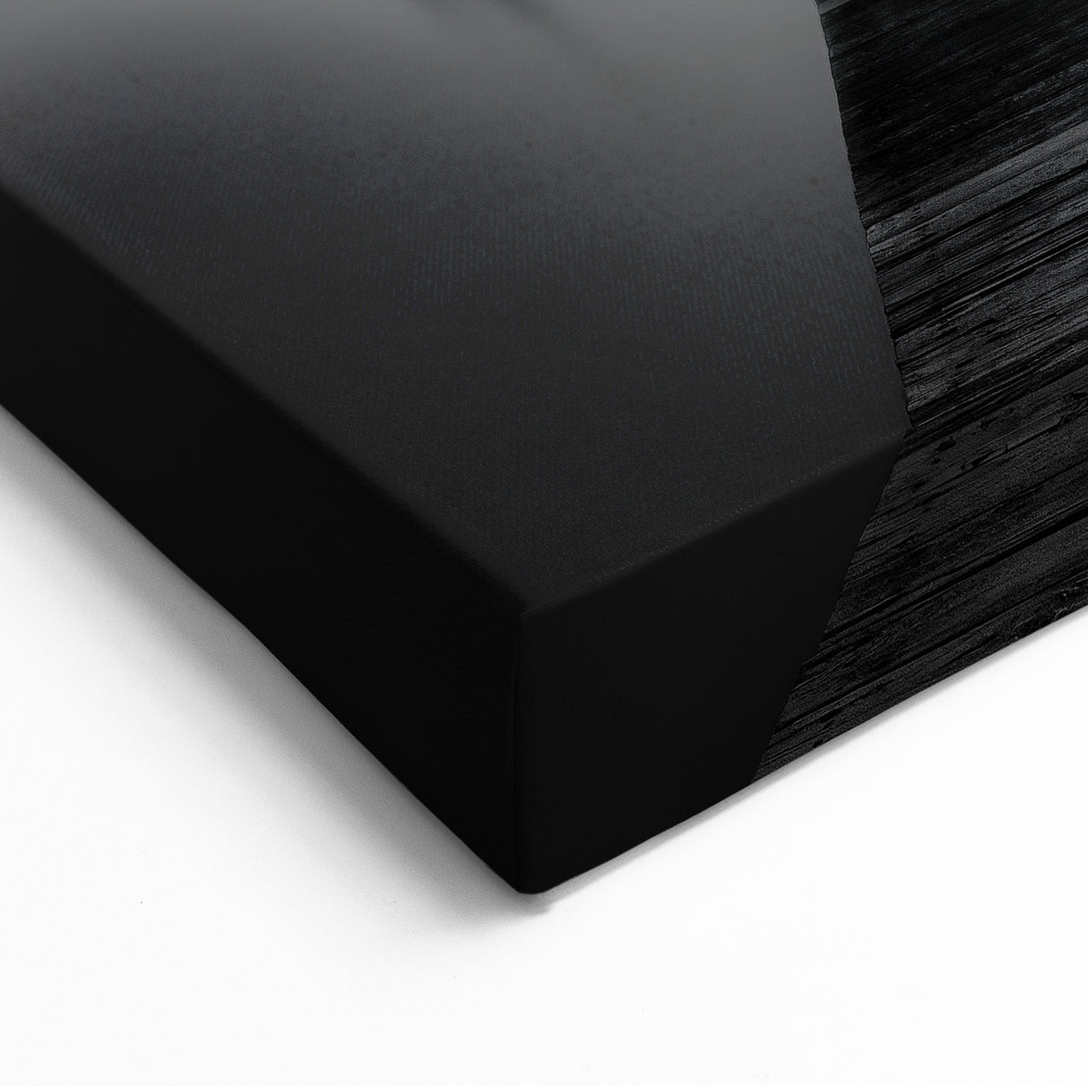 Delaware Nature Photography - Tranquil Pier in Black and White Canvas