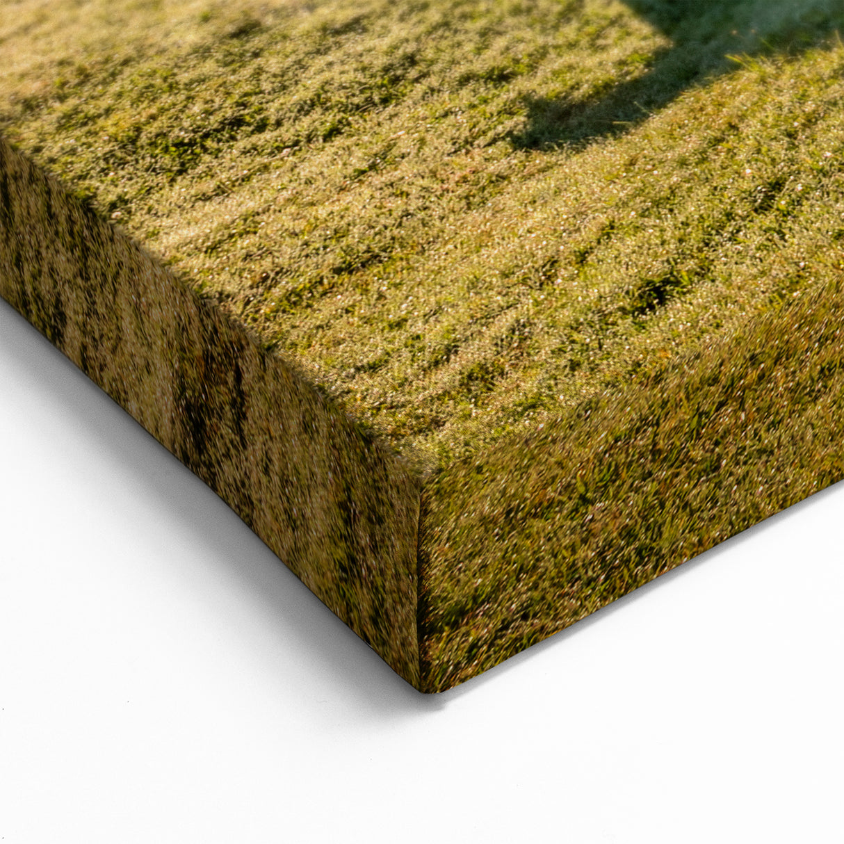 Bavarian Alps Art - Golden Sunrise Over Peaceful Bavarian Countryside