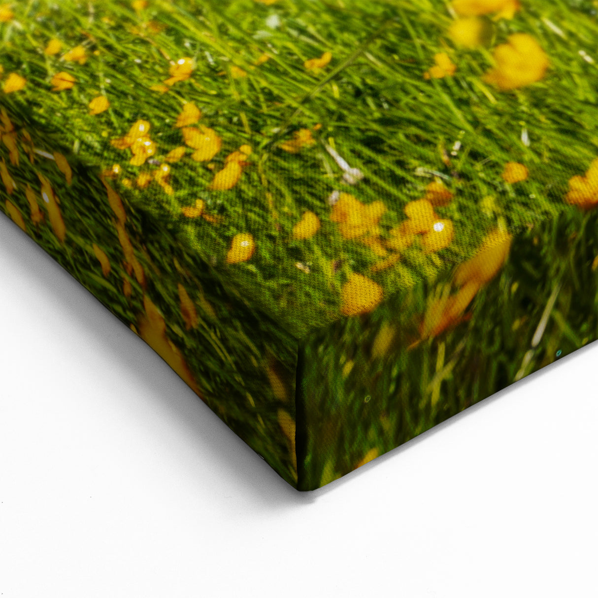 Bavaria Canvas Prints – Bavarian Alps and Meadow Landscape