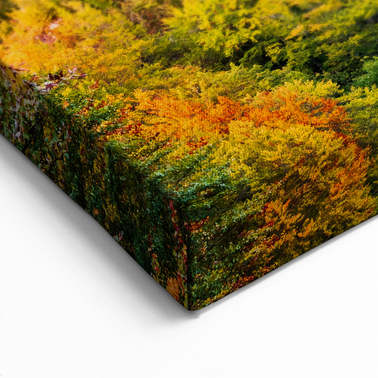 Neuschwanstein Castle Art – Bavarian Fairytale Castle at Sunset