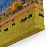 Colorado Scenic Prints – Boulder Mountain Photography with Ranch View