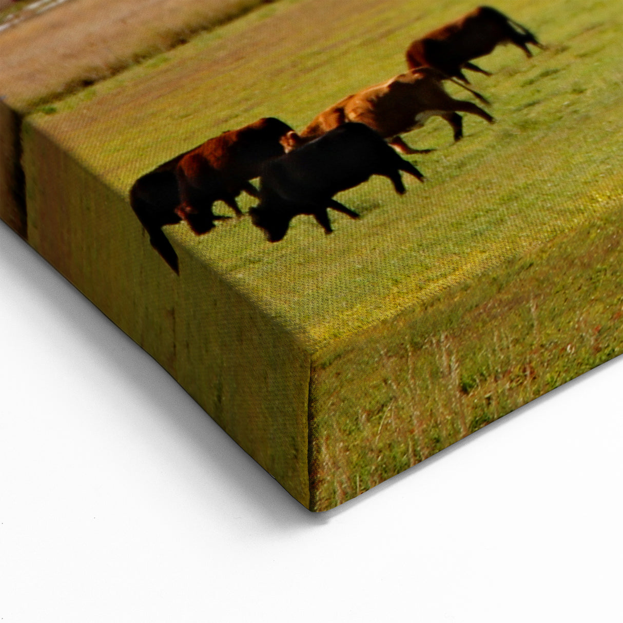 Colorado Scenic Prints – Boulder Mountain Photography with Ranch View