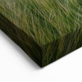 Boulder Mountain Sunset – Colorado Scenic Canvas with Rolling Fields