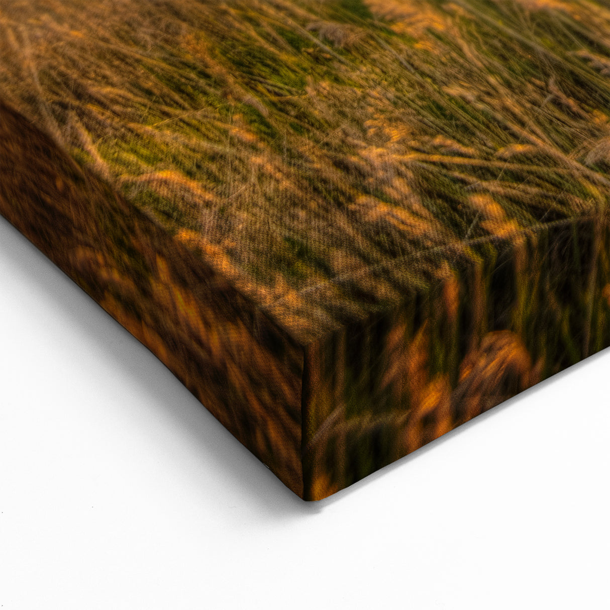 Colorado Sunset Wall Art – Boulder Landscape Canvas with Golden Fields