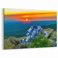 Colorado Springs Wall Art - Sunset Over Mountains with Columbine Flowers