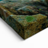 Colorado Springs Wall Art - Sunset Over Mountains with Columbine Flowers