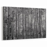 Telluride Aspen Forest Wall Art - Black and White Nature Photography Print