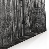 Telluride Aspen Forest Wall Art - Black and White Nature Photography Print