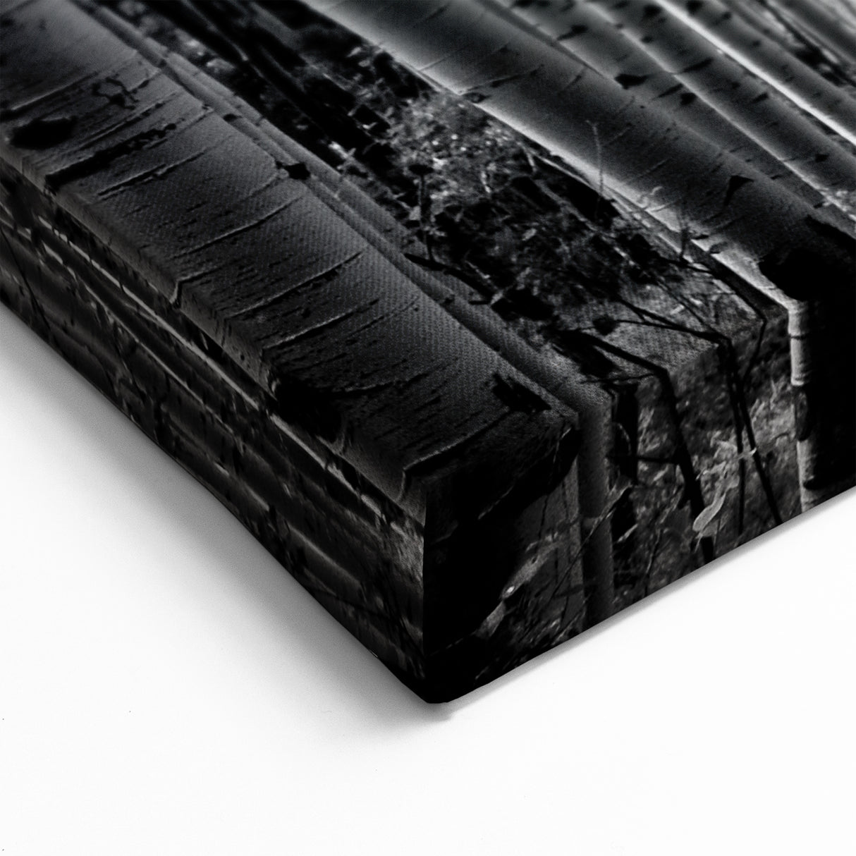 Telluride Aspen Forest Wall Art - Black and White Nature Photography Print