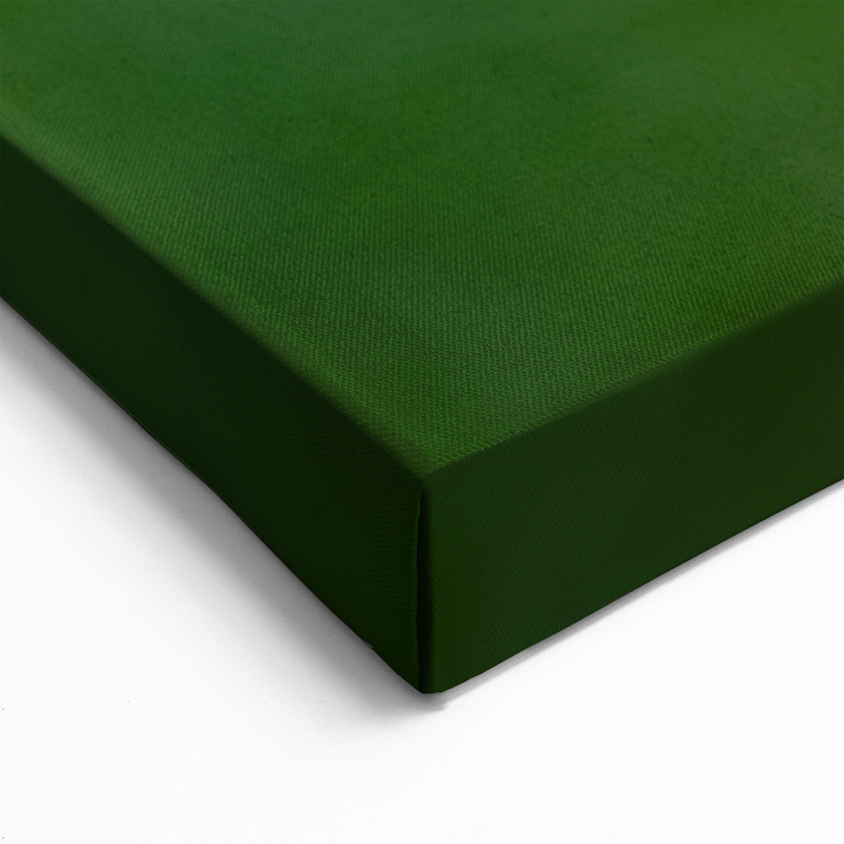 Greece Wall Art - Stunning Butterfly on Flower Macro Photography