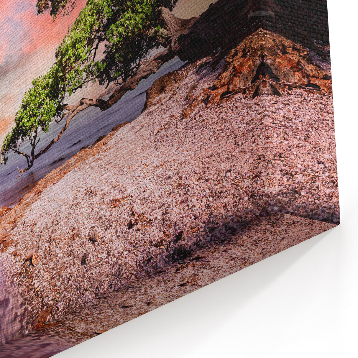 Auckland Harbor Canvas - Scenic Auckland Poster