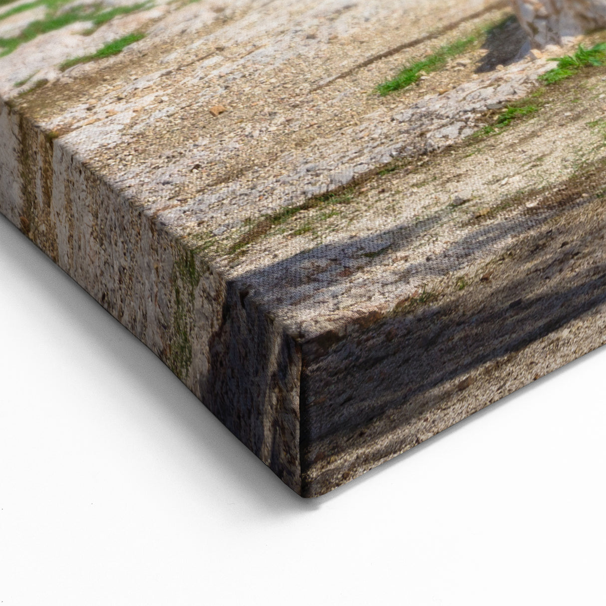 Athens Wall Art - Scenic Acropolis Canvas for Greek Architecture Decor