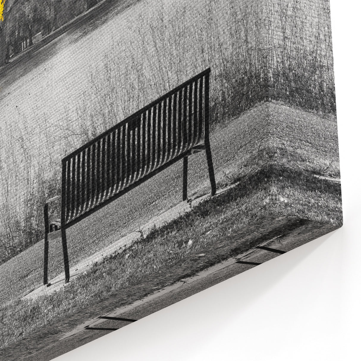 Denver Park Scene with Vibrant Yellow Tree - Black and White Wall Art