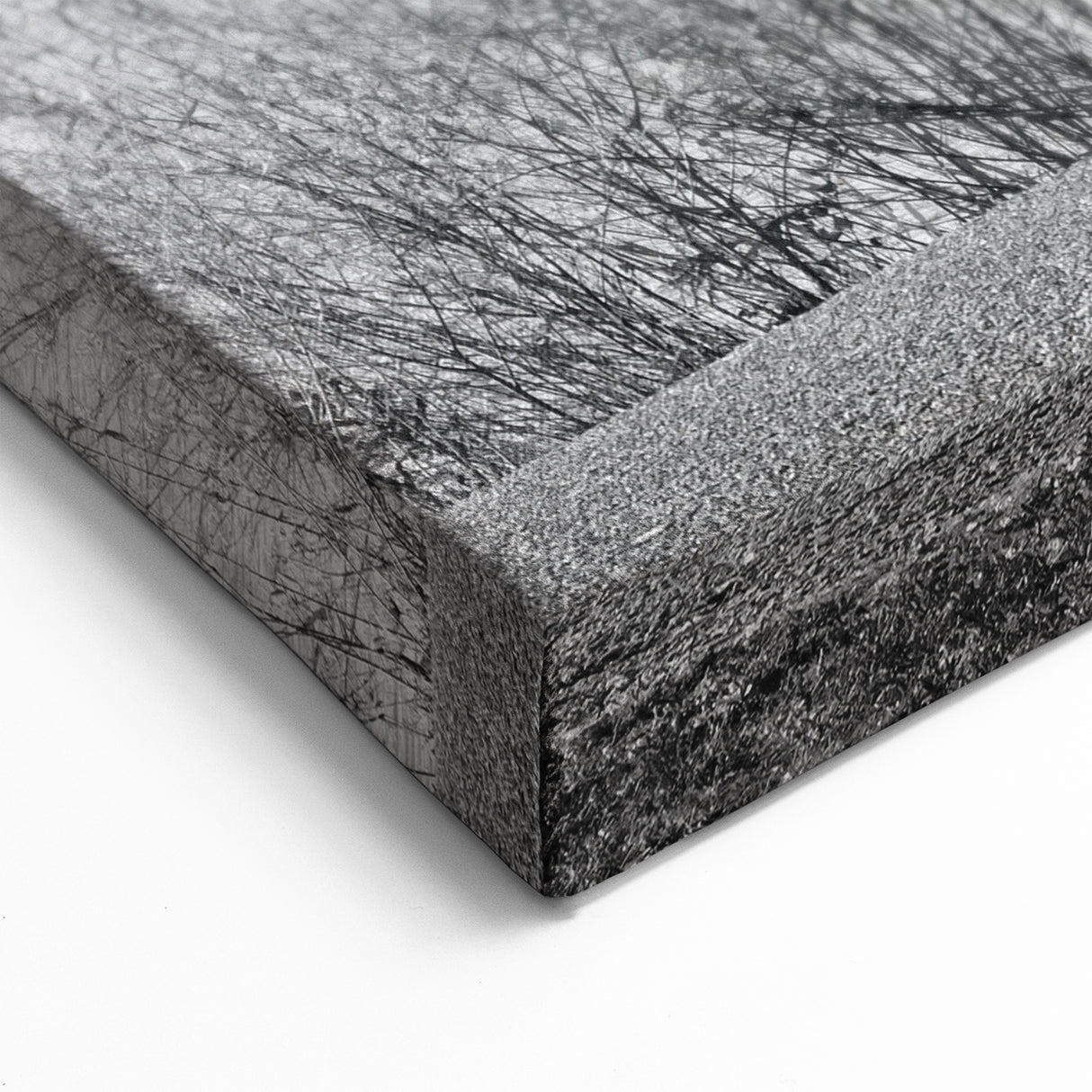 Denver Park Scene with Vibrant Yellow Tree - Black and White Wall Art