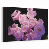 New Zealand Nature Wall Decor - Canterbury Flower Photography Art Print