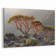 Middle Eastern Art Prints - Socotra's Dragon’s Blood Trees Landscape Art