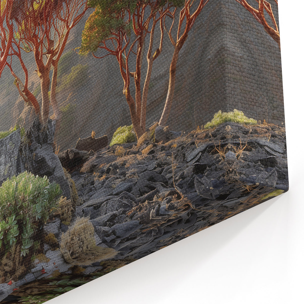 Middle Eastern Art Prints - Socotra's Dragon’s Blood Trees Landscape Art