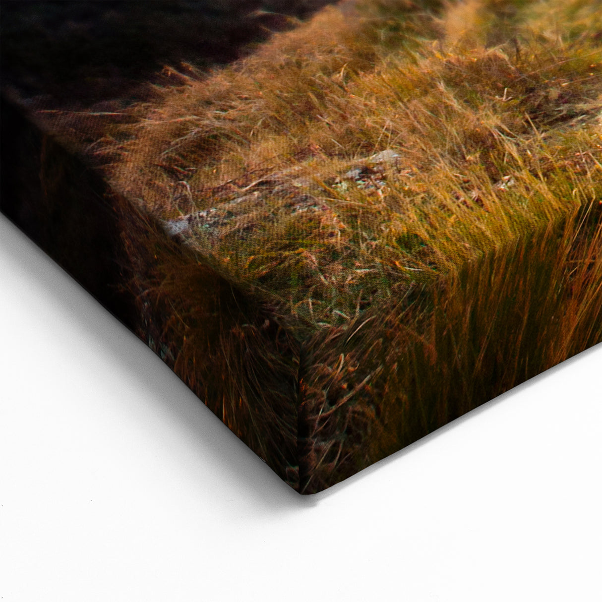 Scenic Canterbury Sunrise Art - New Zealand Landscape Photography Print