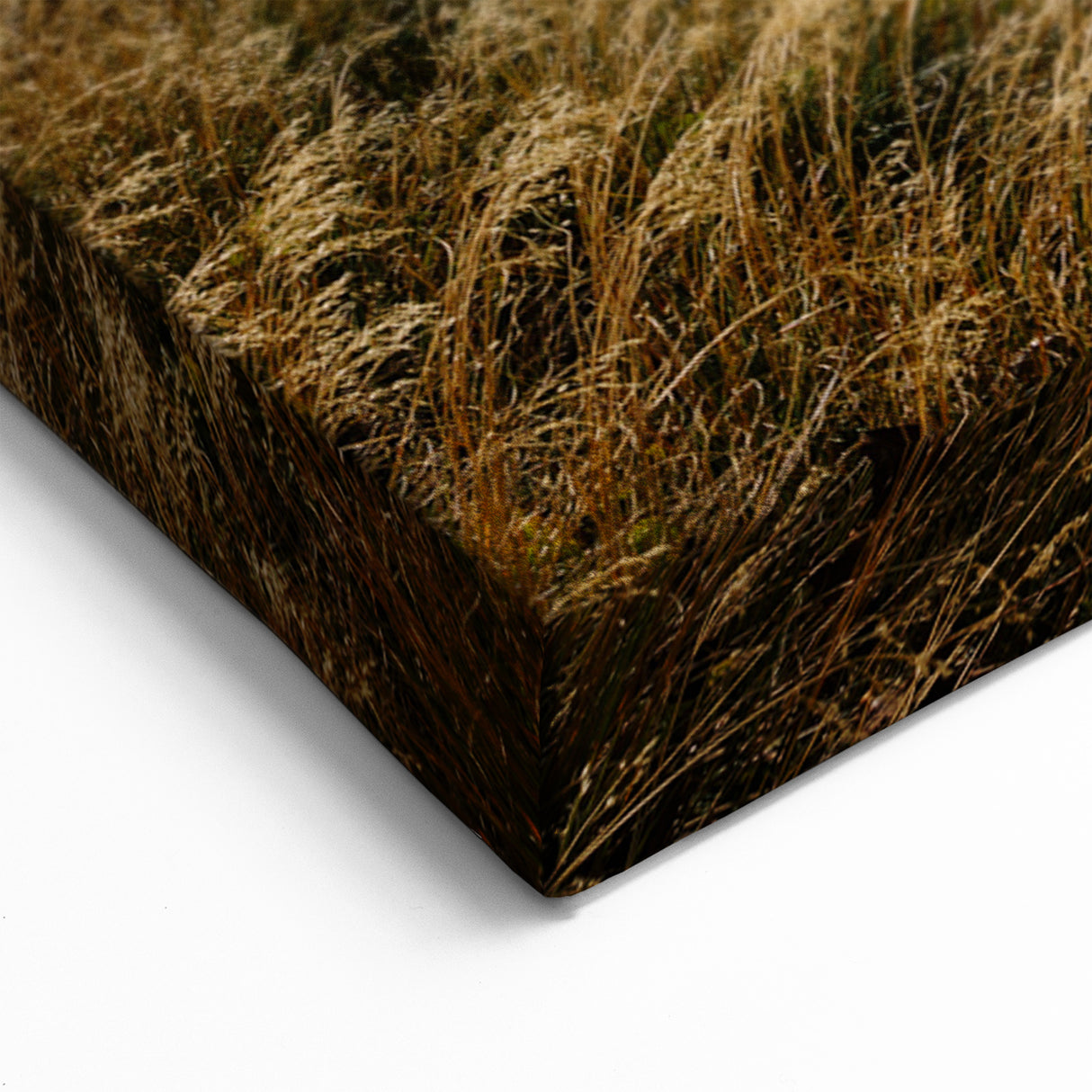 Canterbury Mountain Wilderness Art - New Zealand Scenic Photography Print