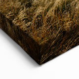 Canterbury Mountain Wilderness Art - New Zealand Scenic Photography Print