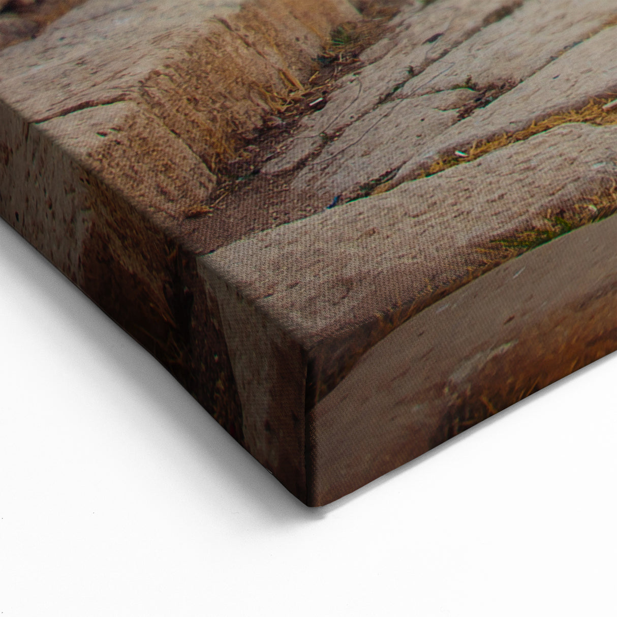 Ancient Ruins Wall Art - Architectural Canvas Print for Historical Decor