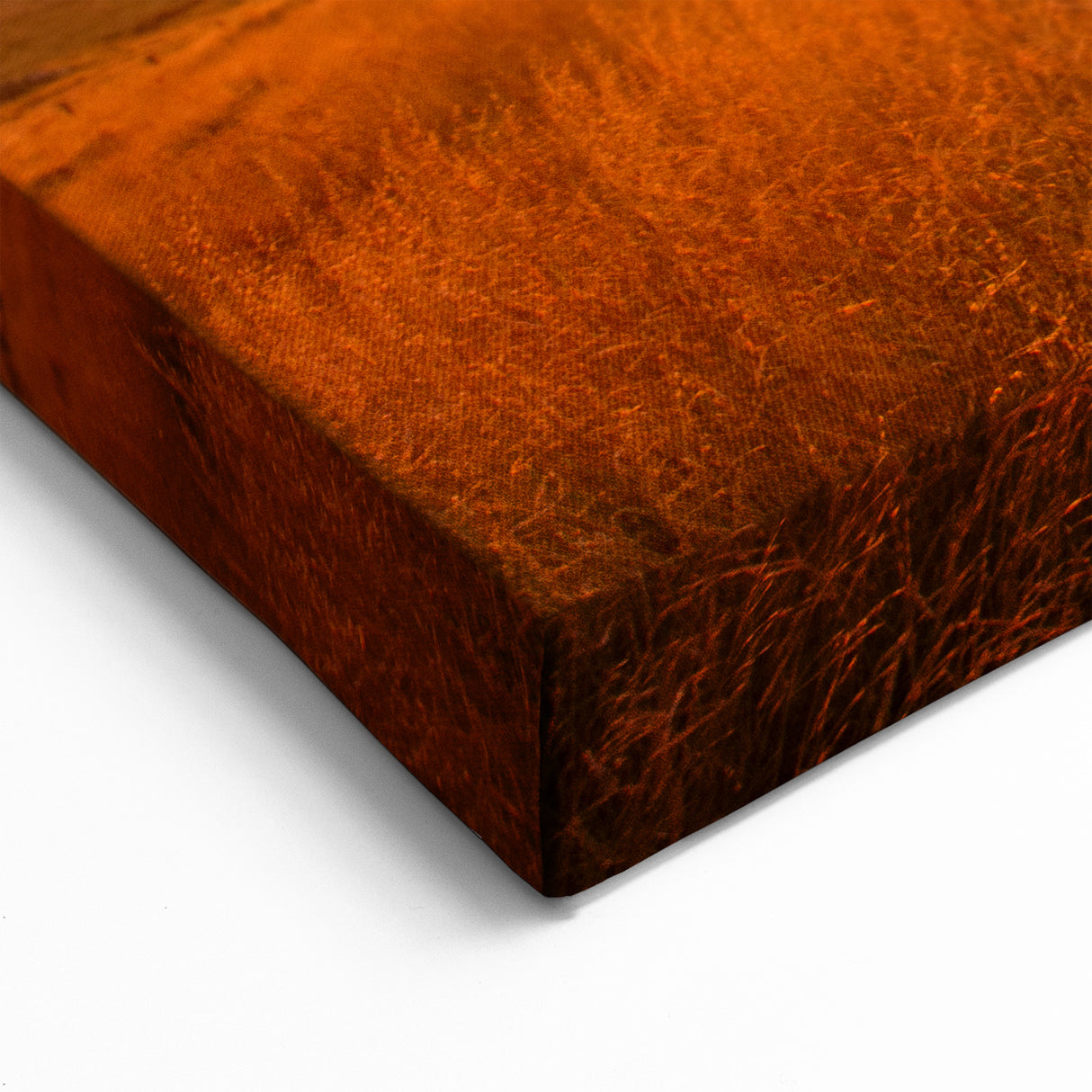 Canterbury Wall Art - Scenic New Zealand Sunset Over Coastal Fields