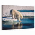 Polar Region Wall Art - Majestic Polar Bear on Arctic Ice Decor