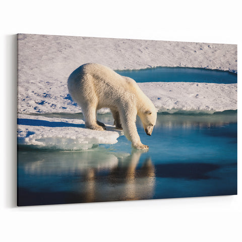 Polar Region Wall Art - Majestic Polar Bear on Arctic Ice Decor