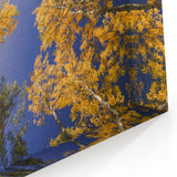 Vail Scenic Prints - Autumn Aspen Trees and Blue Sky Nature Photography