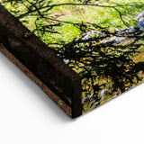 Vail Ski Resort Art - Rustic Wooden Bridge in Forest Landscape Wall Art