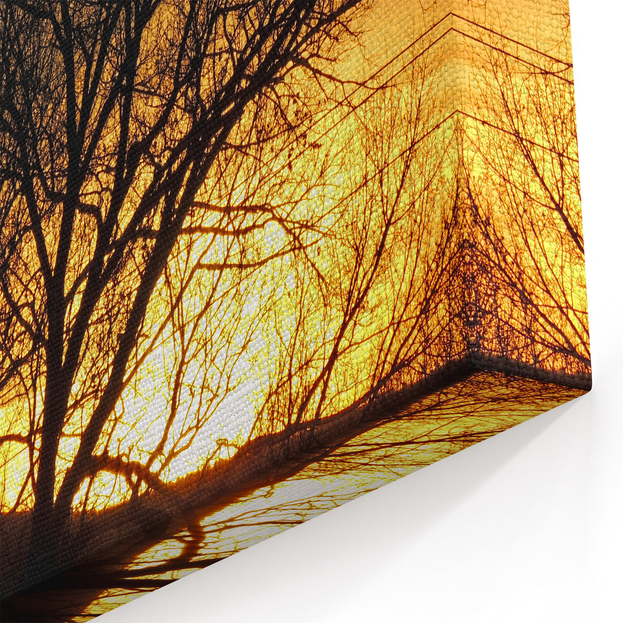 Vail Nature Photography - Silhouette of Trees Against Golden Sunset Sky