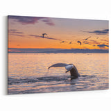 Greenland Landscape Art - Whale Tail at Sunset Arctic Scenery Wall Decor