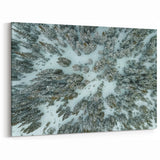 Vail Nature Photography - Aerial View of Snow-Covered Forest Landscape
