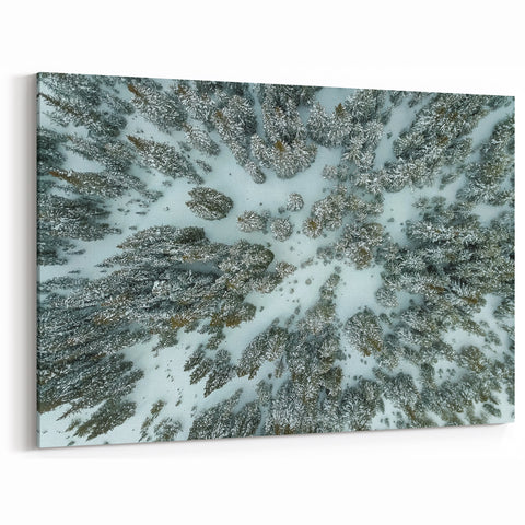 Vail Nature Photography - Aerial View of Snow-Covered Forest Landscape