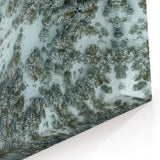 Vail Nature Photography - Aerial View of Snow-Covered Forest Landscape