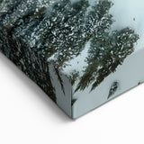 Vail Nature Photography - Aerial View of Snow-Covered Forest Landscape