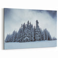 Vail Nature Photography - Snow-Covered Pine Trees in Winter Wonderland